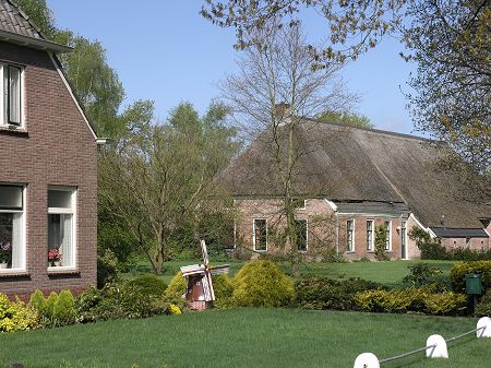 Ekehaar