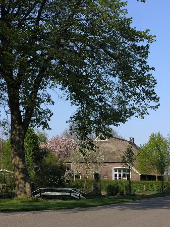 Eleveld