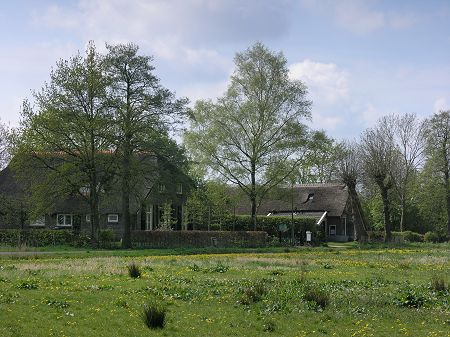 Geelbroek