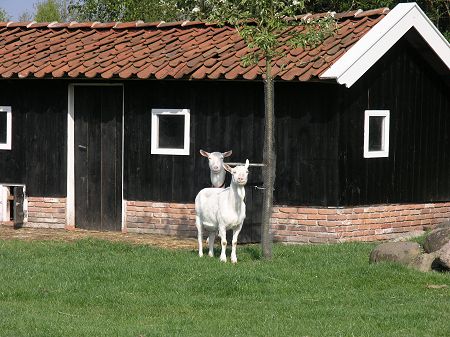 Nijlande