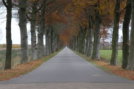 Oude Willem