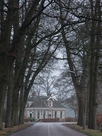 Westervelde