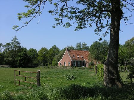 Winde